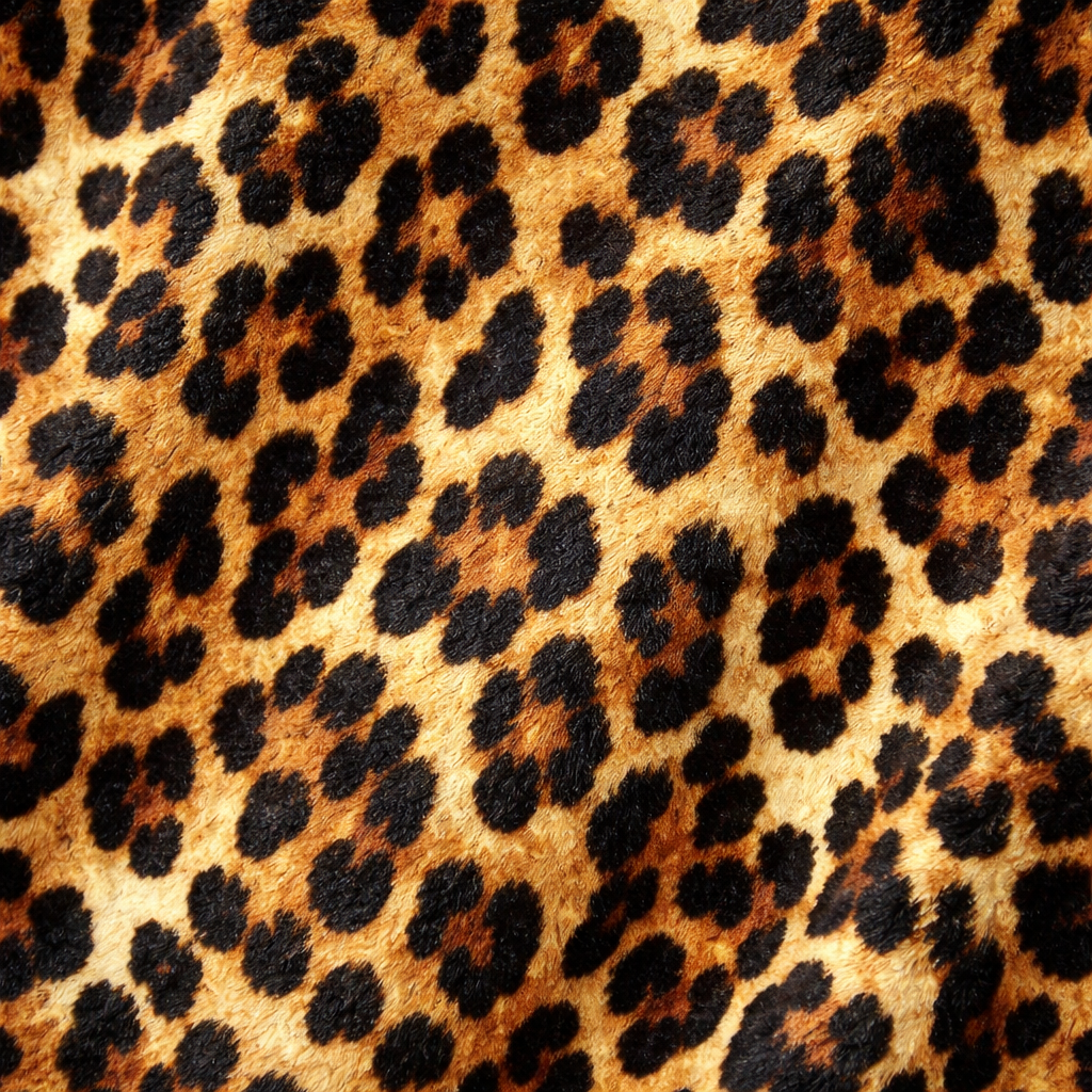 Panterprint flared broek voor meisjes